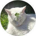 Ana María Cruz da Silva profile picture